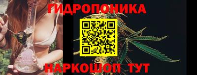 герыч Можга