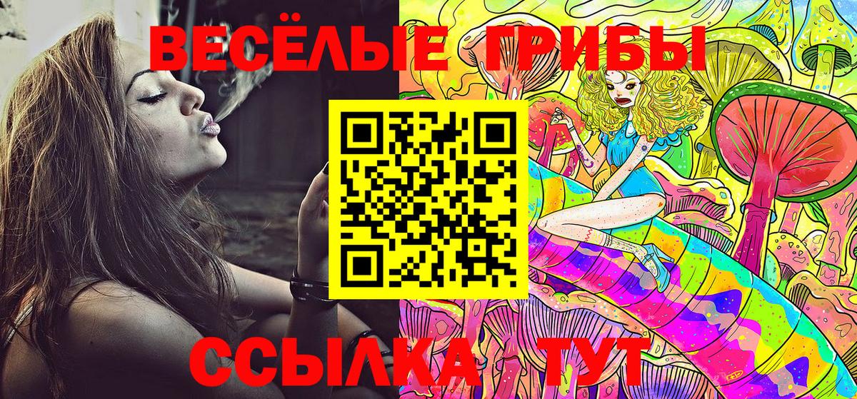 Шатура  Псилоцибиновые грибы прущие грибы  Вход с VPN 